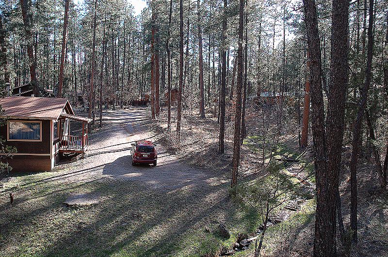 Our cabin from the hill.JPG